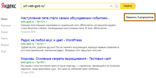 Как быстро узнать проиндексировал ли Яндекс ваш сайт