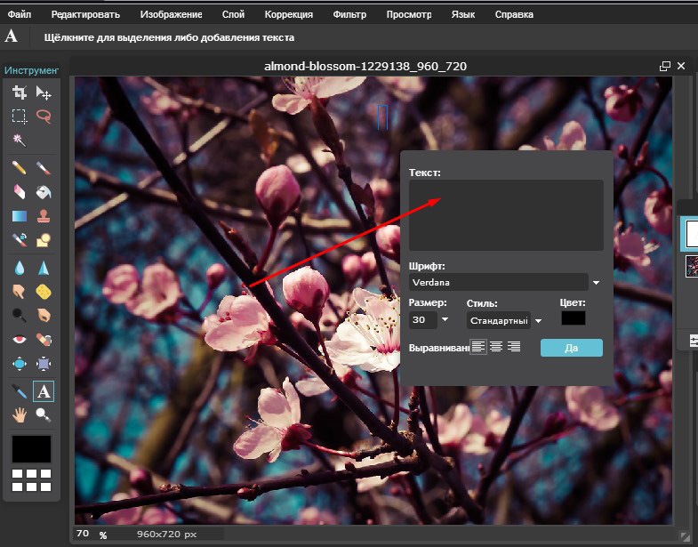 Добавить текст на фото. Программа для наложения текста на картинку. Наложить текст на фото. Фото цветов для наложения. Добавить текст к фотографии.