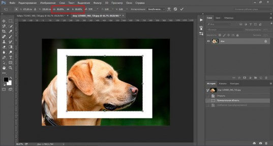 Как быстро уменьшить объект в Photoshop - профессионально и без потери качества