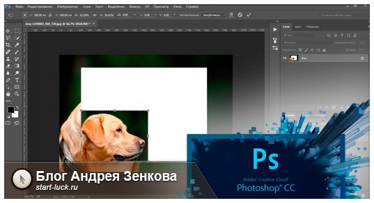 Как уменьшить фото в фотошопе